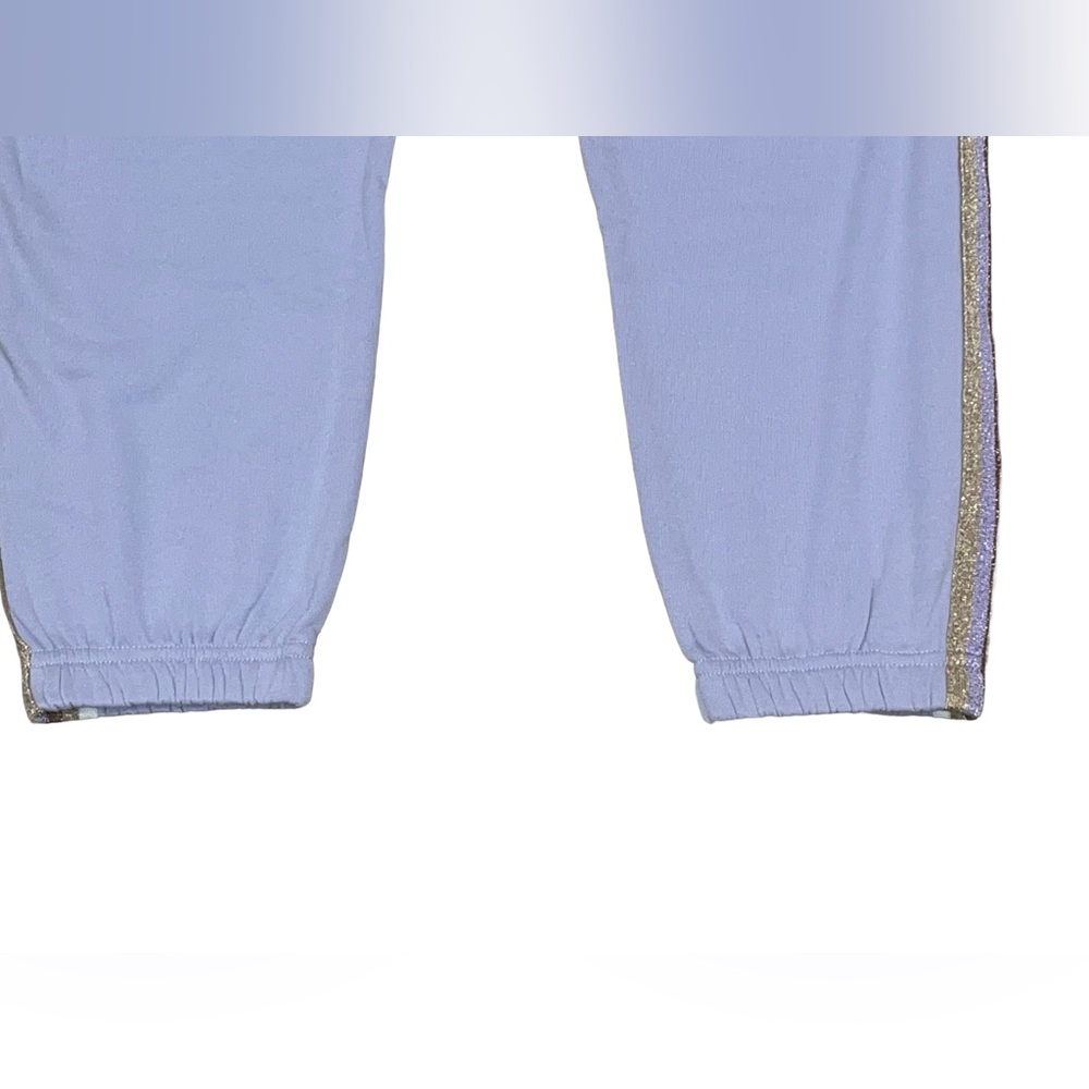 Spiritual Gangster Perfect Vintage Sweatpants, Purple w Multicolor Stripes Small - Picture 5 of 13